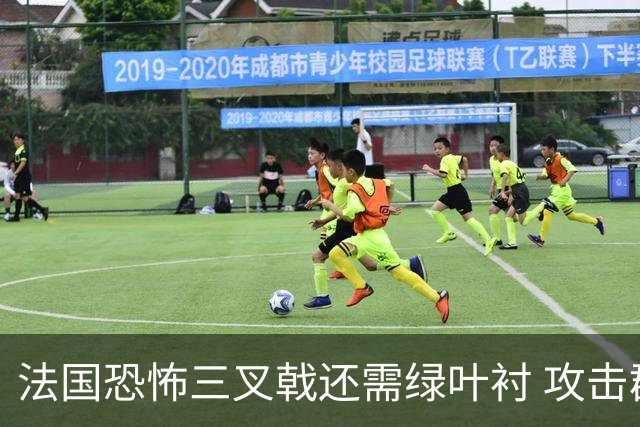 法国恐怖三叉戟还需绿叶衬 攻击群稳定输出德尚冲冠底气足