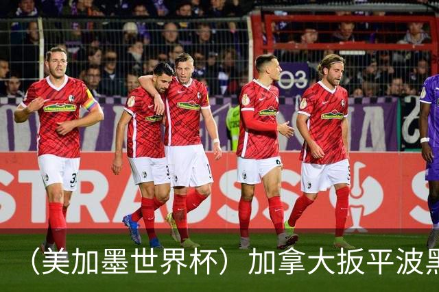 （美加墨世界杯）加拿大扳平波黑 获队史世界杯首分